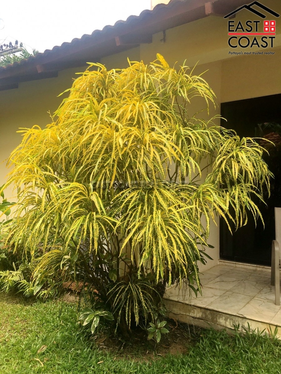 Paradise Villa 1 18