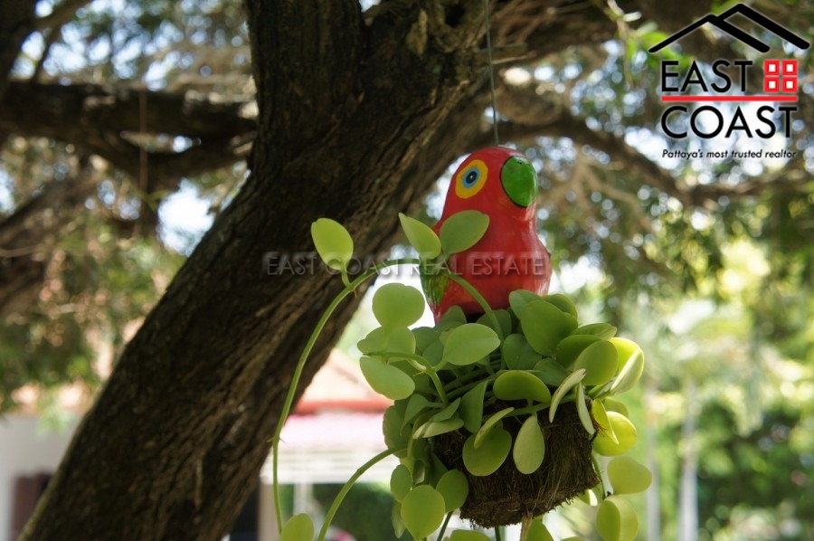 Pattaya Hill 1 36
