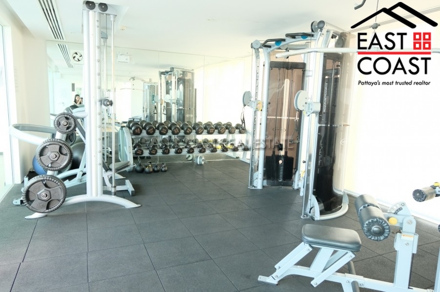 The Elegance 15