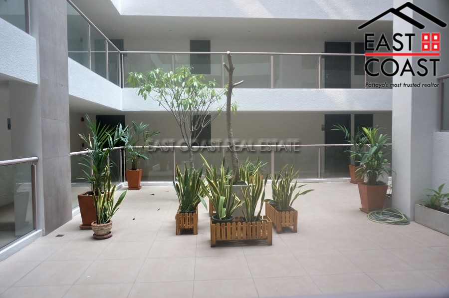 The Place  12
