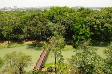 The Park 11