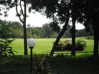 Phoenix Golf Course 4