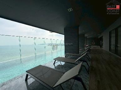 The Panora 22