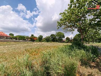 Land Phoenix Golf Course 8