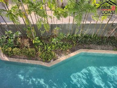 Amazon Residence 14