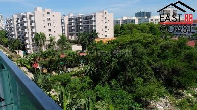 Amazon Residence 12