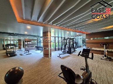 Apus Condominium 29