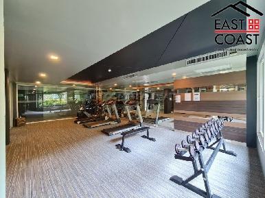 Apus Condominium 30