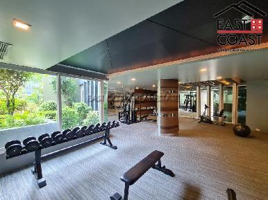Apus Condominium 31