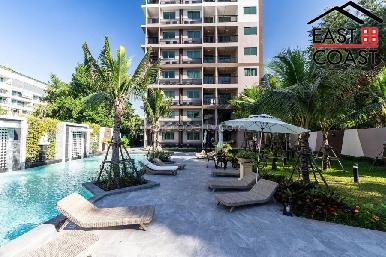 Arcadia Center Suites 19