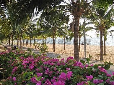 Baan Somprasong 5