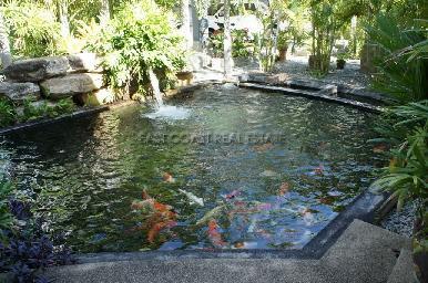Bang Saray  7