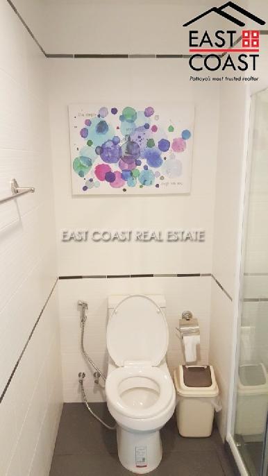 Centric Sea 16