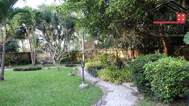Coco Palm 13