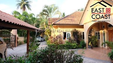 Coco Palm 4