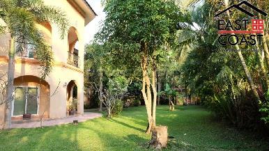 Coco Palm 5