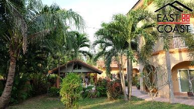 Coco Palm 6