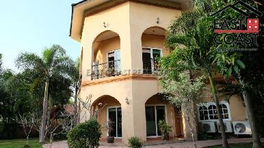 Coco Palm 7
