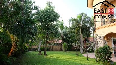 Coco Palm 8