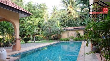 Coco Palm 10