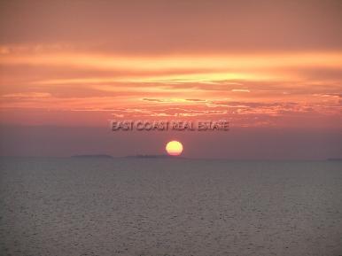 Golden Sand  10