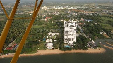 Golden Sand  9