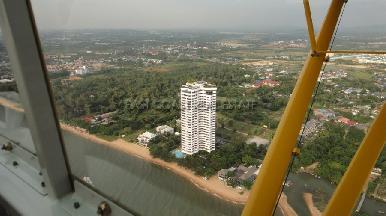 Golden Sand  8