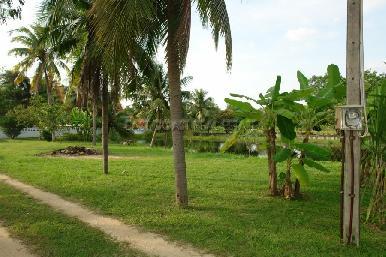 Huay Yai 10