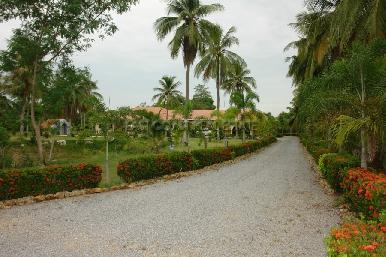 Huay Yai Manor 8