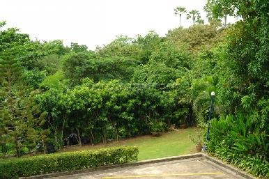 Jomtien Condotel 4