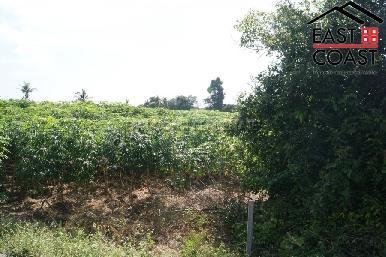 Khao Chee Chan 11