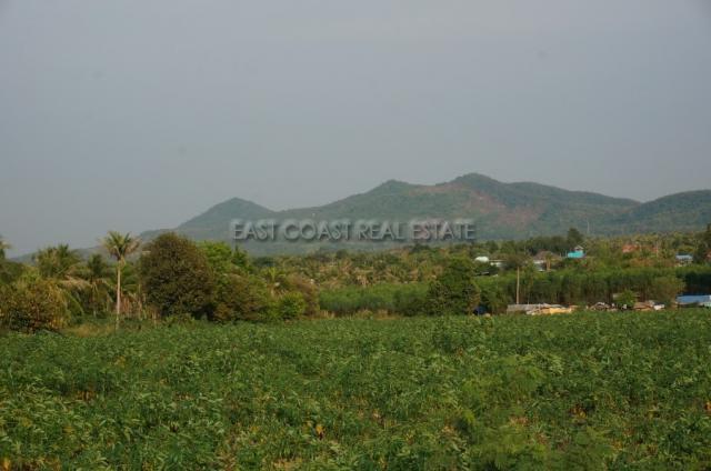 Khao Mai Kaeo