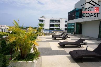 Laguna Bay 2 25