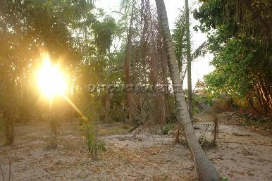 Land Nongpalai  6