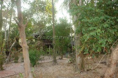 Land Nongpalai  2