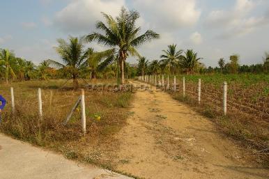 Land Nongpalai  6