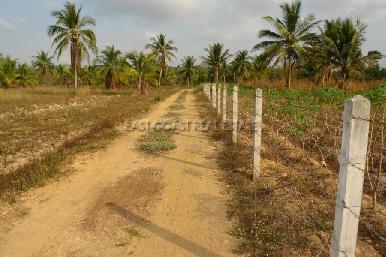 Land Nongpalai  5