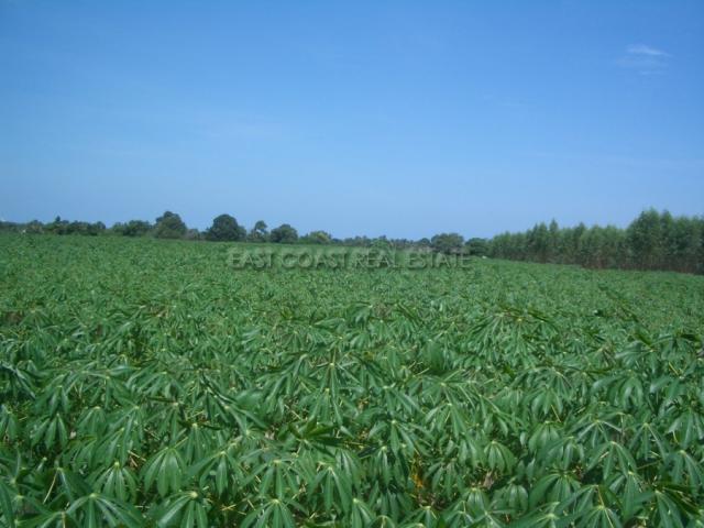 Land Nongpalai