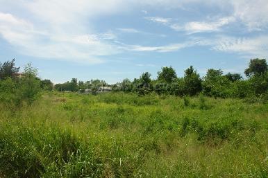 Land North Pattaya  3