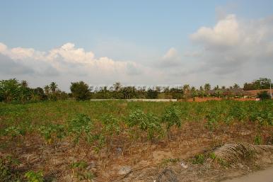 Land  Pong  3