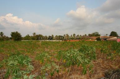 Land  Pong  1