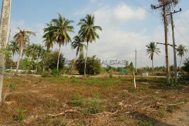 Land Pong  9