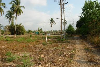 Land Pong  7