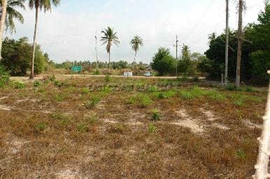 Land Pong  1