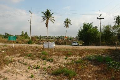 Land Pong  5