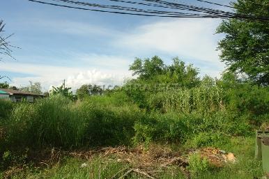 Land Sukhumvit/Banglamung 2