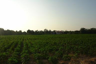 Land Tung Klomtanman 7