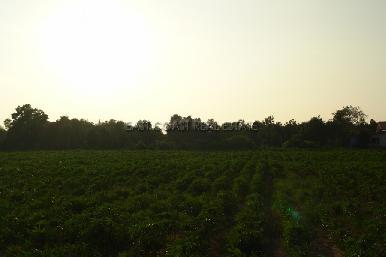 Land Tung Klomtanman 3
