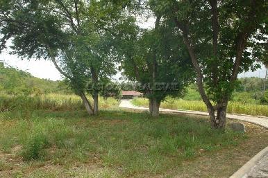 Land in Bang Saray 3