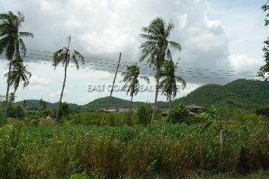 Land in Bang Saray 2